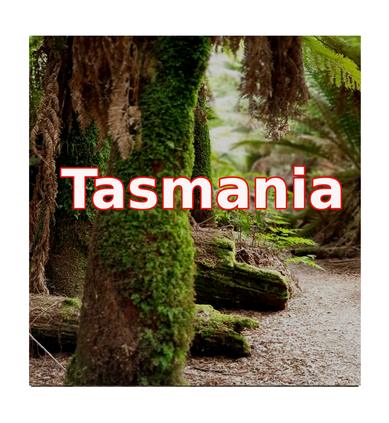Tasmania navigation large