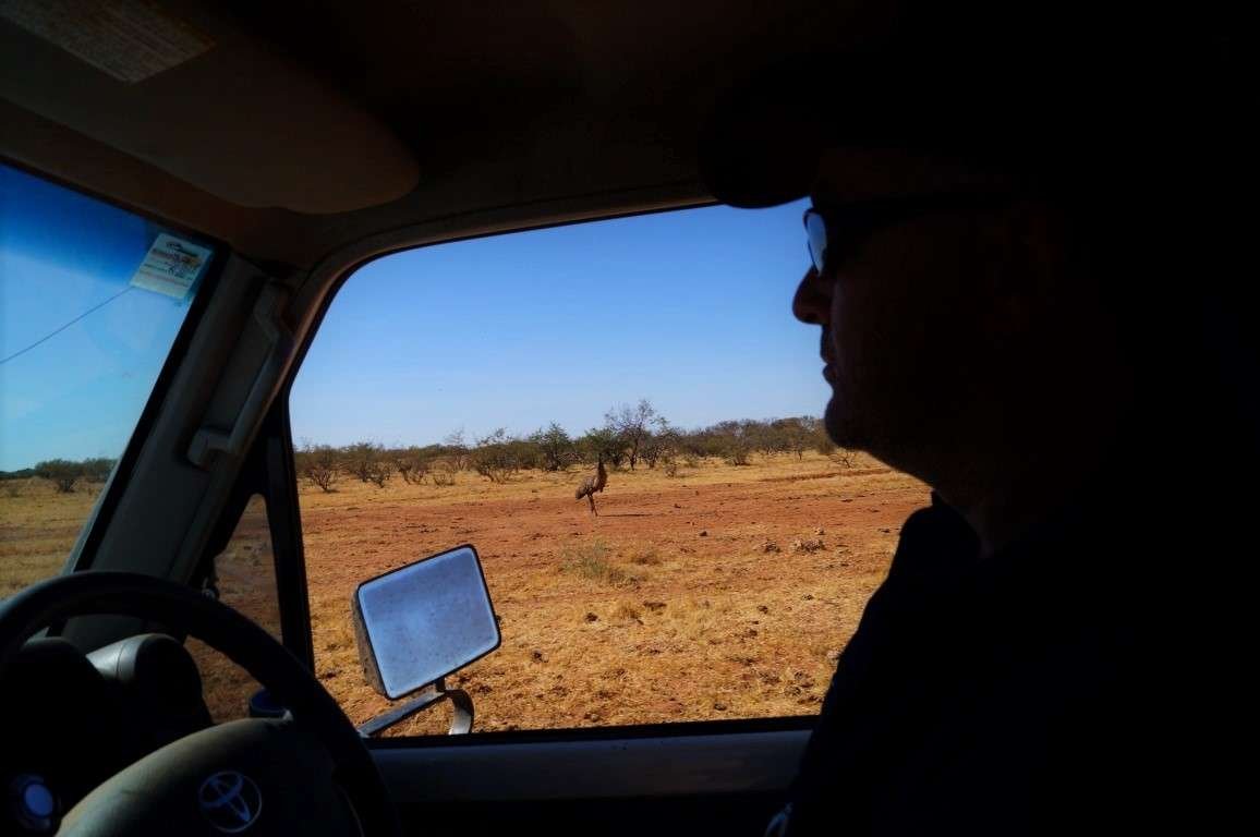 39 How To Find Work While Traveling Tips Fulltime Caravanning