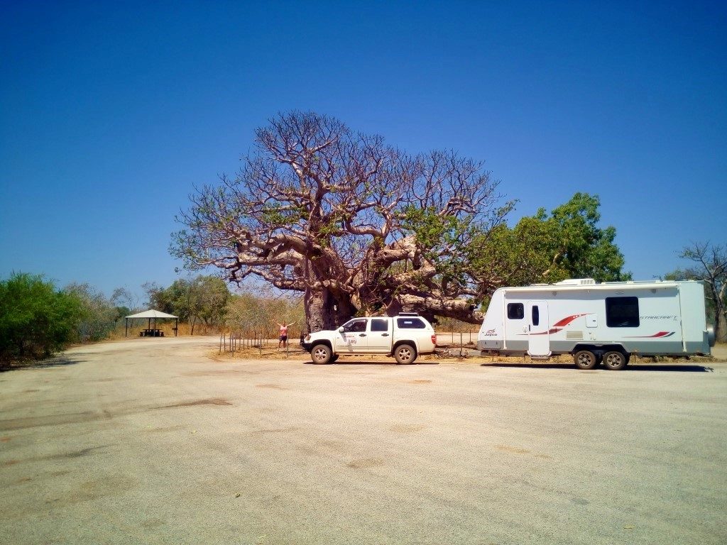 Boab Tree rest area camp with caravan