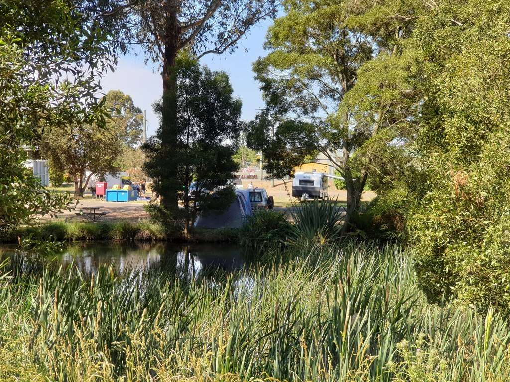 Free Camps In Tasmania Scottsdale Northeast Park Tasmania