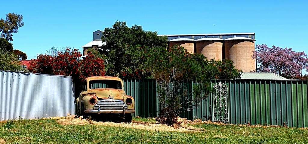 Mirrool nsw garden with old car