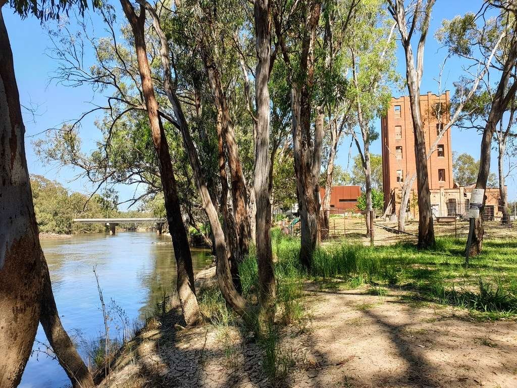Narrandera murrumbidgee river boat ramp and dock area looking towords the Old brewery along the river