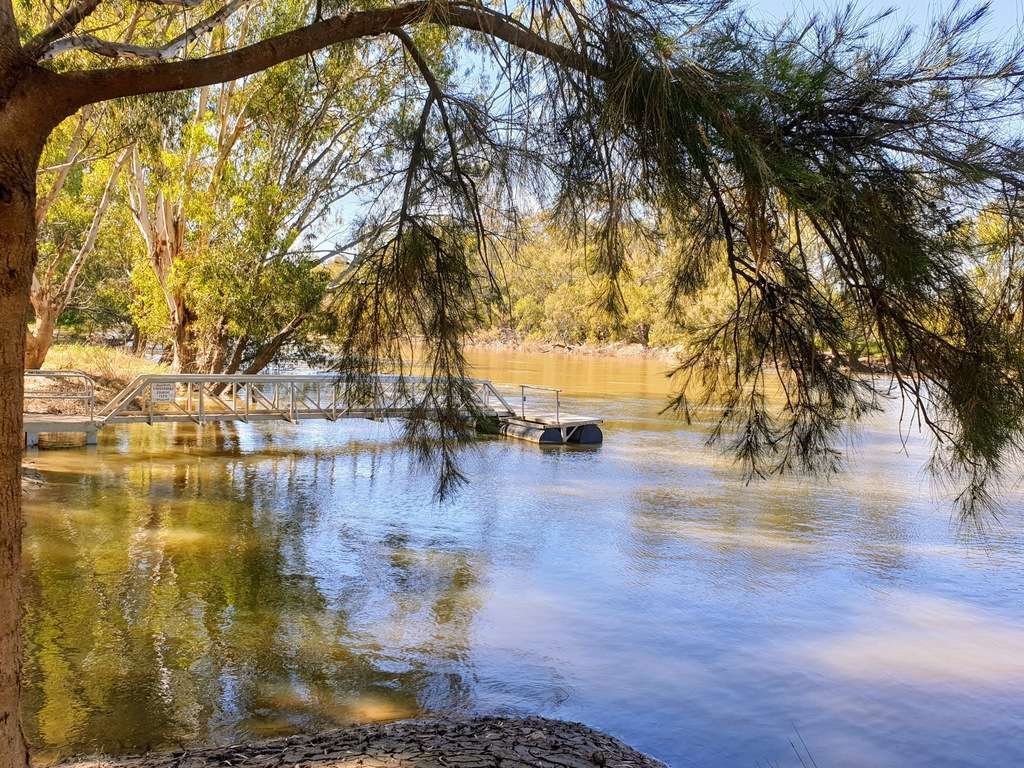 Narrandera murrumbidgee river boat ramp and dock area