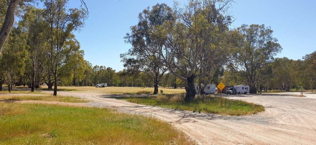 Narrandera Brewery Flat Reserve Free Camp NSW