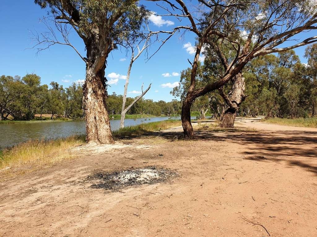 Narrandera Free Camp at Bundidgerry Creek