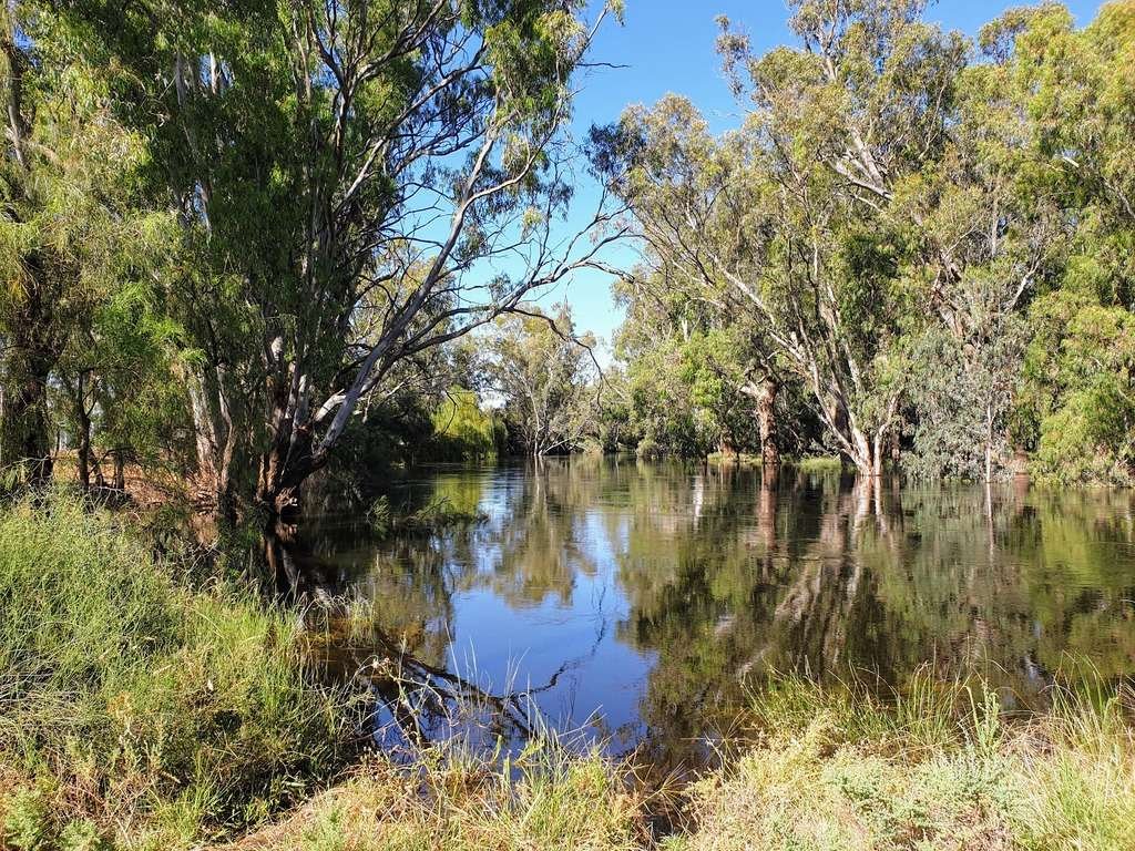 Euabalong Camp - Caravan Park - NSW