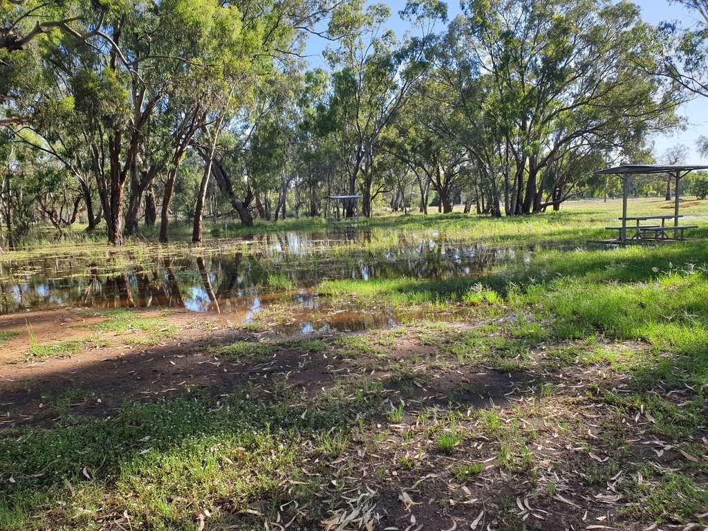 Euabalong Camp - Caravan Park - NSW