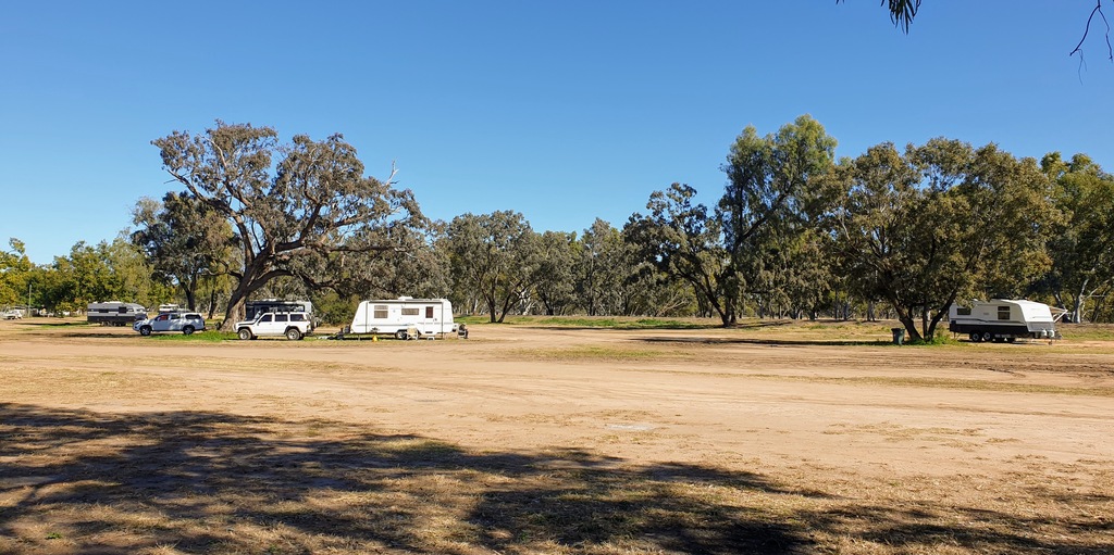 Sumbangan kamp Augathella Karavan Queensland di bawah naungan pohon 